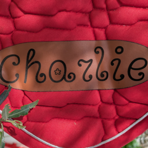 Patch simili cuir